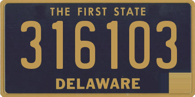 DE license plate 316103