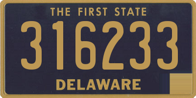 DE license plate 316233