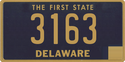 DE license plate 3163