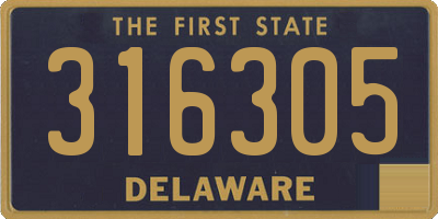 DE license plate 316305