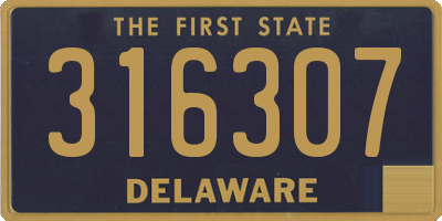 DE license plate 316307