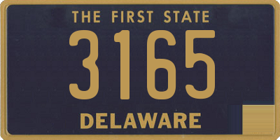 DE license plate 3165