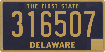 DE license plate 316507