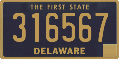 DE license plate 316567