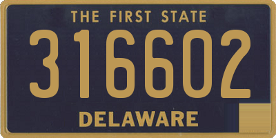 DE license plate 316602
