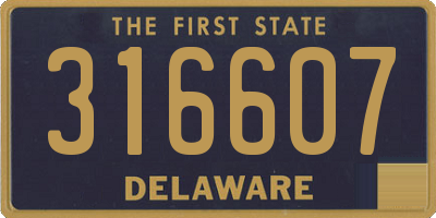DE license plate 316607