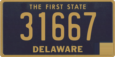 DE license plate 31667