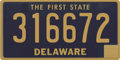 DE license plate 316672