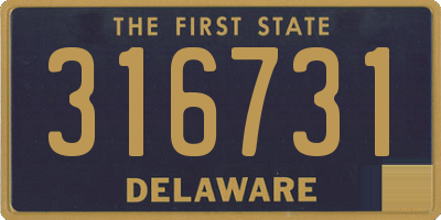 DE license plate 316731