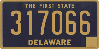 DE license plate 317066