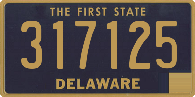 DE license plate 317125
