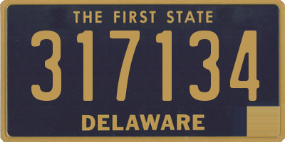 DE license plate 317134