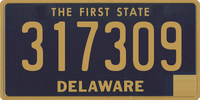 DE license plate 317309