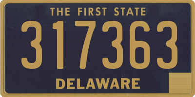 DE license plate 317363