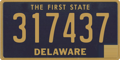 DE license plate 317437