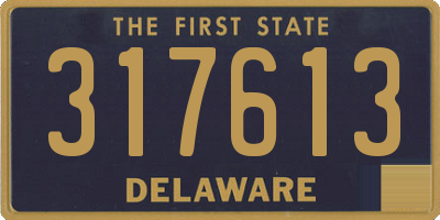 DE license plate 317613