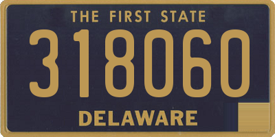 DE license plate 318060