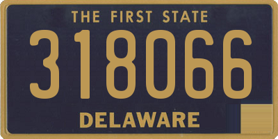 DE license plate 318066