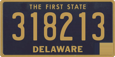 DE license plate 318213