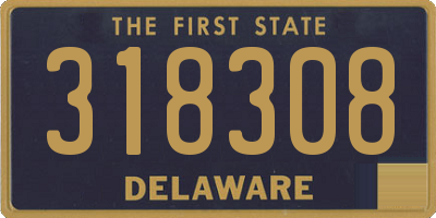 DE license plate 318308