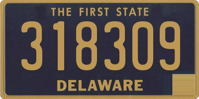 DE license plate 318309
