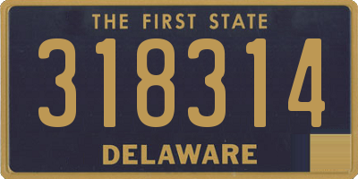 DE license plate 318314