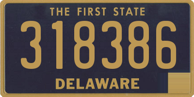 DE license plate 318386