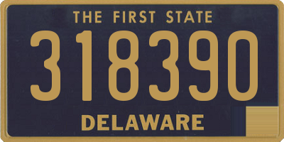 DE license plate 318390