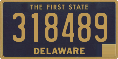DE license plate 318489