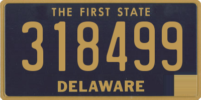 DE license plate 318499