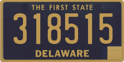 DE license plate 318515
