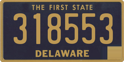 DE license plate 318553