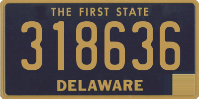 DE license plate 318636