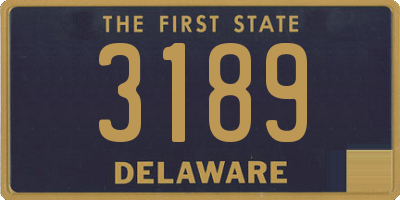 DE license plate 3189