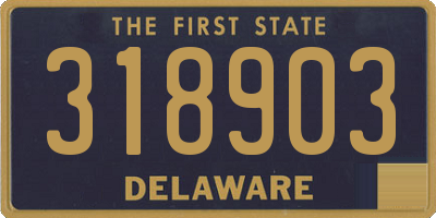 DE license plate 318903