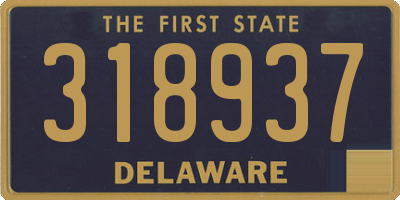 DE license plate 318937