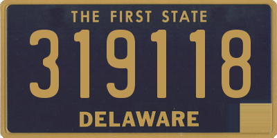 DE license plate 319118