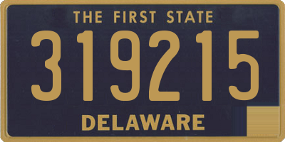 DE license plate 319215