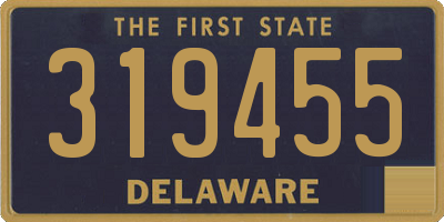 DE license plate 319455