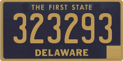DE license plate 323293
