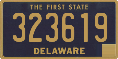 DE license plate 323619