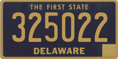 DE license plate 325022