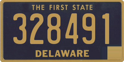 DE license plate 328491