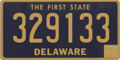 DE license plate 329133