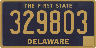 DE license plate 329803