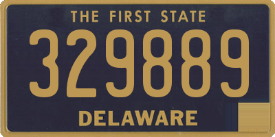 DE license plate 329889