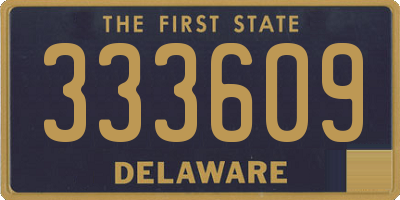 DE license plate 333609