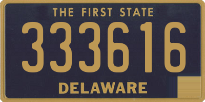 DE license plate 333616