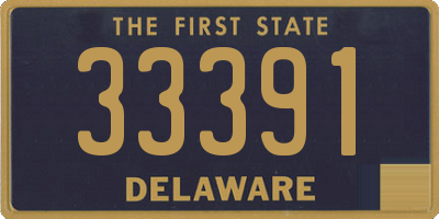 DE license plate 33391