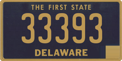 DE license plate 33393